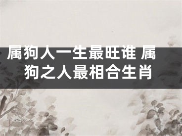 属狗人一生最旺谁 属狗之人最相合生肖