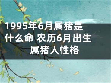 1995年6月属猪是什么命 农历6月出生属猪人性格
