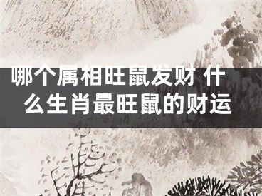 哪个属相旺鼠发财 什么生肖最旺鼠的财运