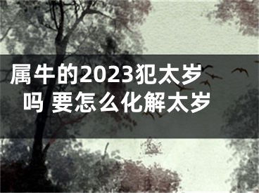 属牛的2023犯太岁吗 要怎么化解太岁