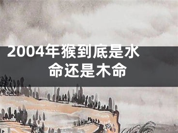 2004年猴到底是水命还是木命