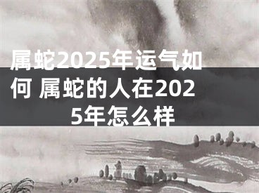 属蛇2025年运气如何 属蛇的人在2025年怎么样
