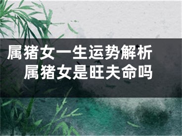 属猪女一生运势解析 属猪女是旺夫命吗