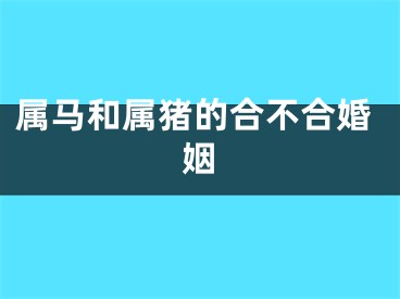 属马和属猪的合不合婚姻
