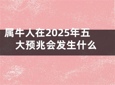 属牛人在2025年五大预兆会发生什么