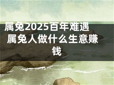 属兔2025百年难遇 属兔人做什么生意赚钱