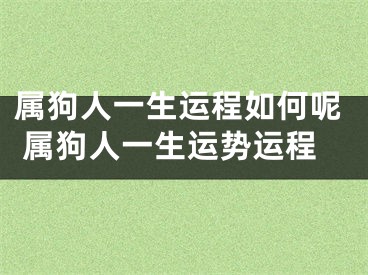 属狗人一生运程如何呢 属狗人一生运势运程