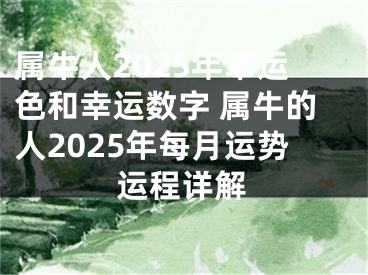 属牛人2025年幸运色和幸运数字 属牛的人2025年每月运势运程详解