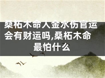 桑柘木命人金水伤官运会有财运吗,桑柘木命最怕什么