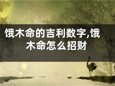 饿木命的吉利数字,饿木命怎么招财