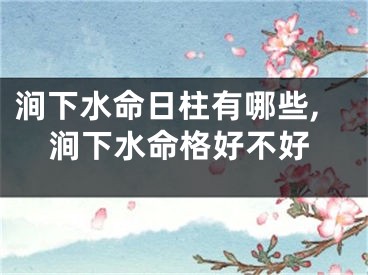 涧下水命日柱有哪些,涧下水命格好不好