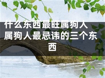 什么东西最旺属狗人 属狗人最忌讳的三个东西