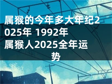 属猴的今年多大年纪2025年 1992年属猴人2025全年运势