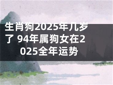 生肖狗2025年几岁了 94年属狗女在2025全年运势