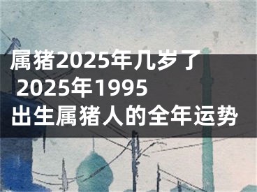 属猪2025年几岁了 2025年1995出生属猪人的全年运势