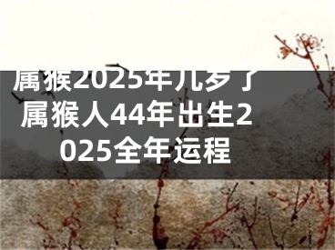 属猴2025年几岁了 属猴人44年出生2025全年运程