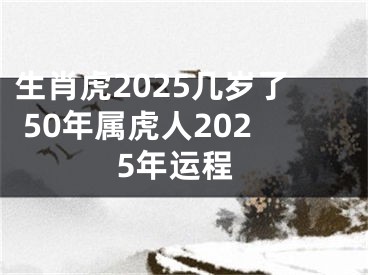 生肖虎2025几岁了 50年属虎人2025年运程