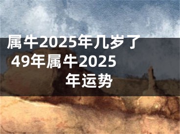 属牛2025年几岁了 49年属牛2025年运势