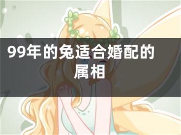 99年的兔适合婚配的属相
