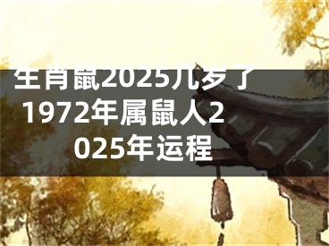 生肖鼠2025几岁了 1972年属鼠人2025年运程