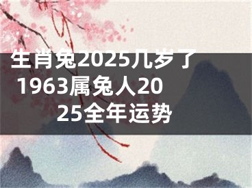 生肖兔2025几岁了 1963属兔人2025全年运势