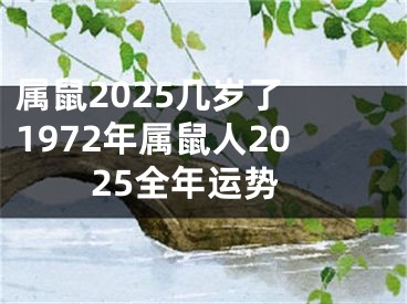 属鼠2025几岁了 1972年属鼠人2025全年运势