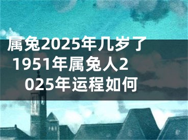 属兔2025年几岁了 1951年属兔人2025年运程如何