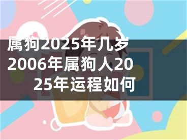 属狗2025年几岁 2006年属狗人2025年运程如何