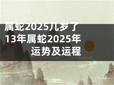 属蛇2025几岁了 13年属蛇2025年运势及运程