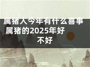 属猪人今年有什么喜事 属猪的2025年好不好
