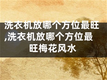 洗衣机放哪个方位最旺,洗衣机放哪个方位最旺梅花风水