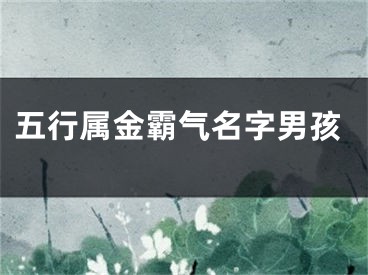 五行属金霸气名字男孩