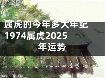 属虎的今年多大年纪 1974属虎2025年运势