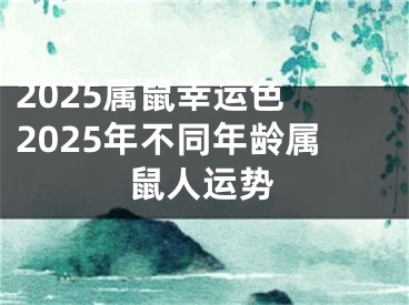 2025属鼠幸运色 2025年不同年龄属鼠人运势