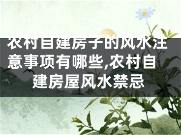 农村自建房子的风水注意事项有哪些,农村自建房屋风水禁忌