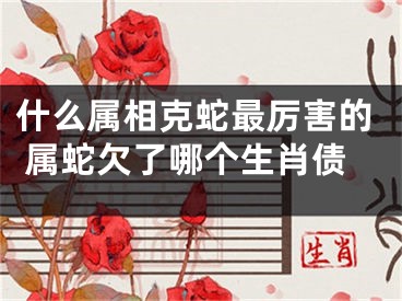 什么属相克蛇最厉害的 属蛇欠了哪个生肖债