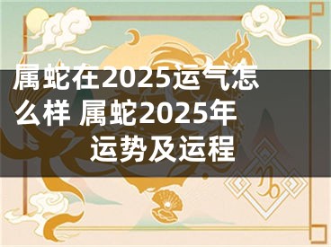 属蛇在2025运气怎么样 属蛇2025年运势及运程