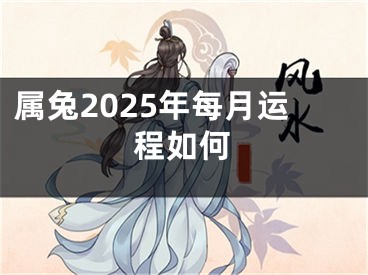 属兔2025年每月运程如何