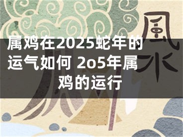 属鸡在2025蛇年的运气如何 2o5年属鸡的运行