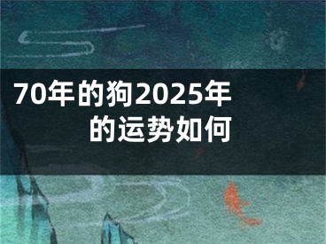 70年的狗2025年的运势如何