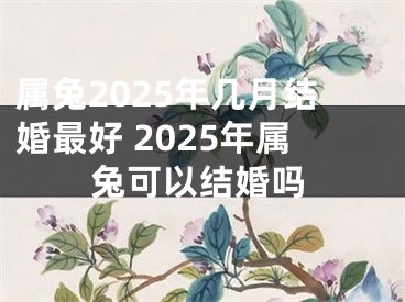 属兔2025年几月结婚最好 2025年属兔可以结婚吗