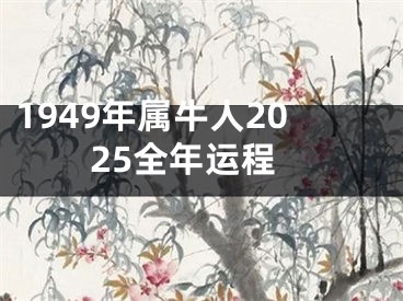 1949年属牛人2025全年运程