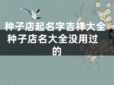 种子店起名字吉祥大全 种子店名大全没用过的