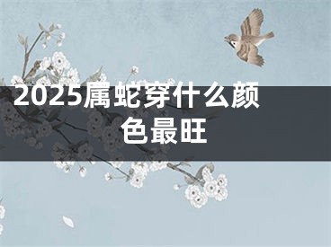 2025属蛇穿什么颜色最旺