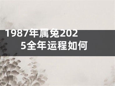 1987年属兔2025全年运程如何