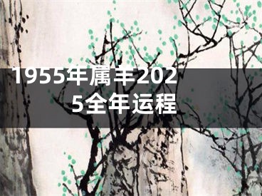 1955年属羊2025全年运程