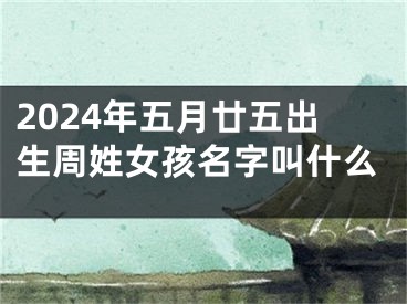 2024年五月廿五出生周姓女孩名字叫什么