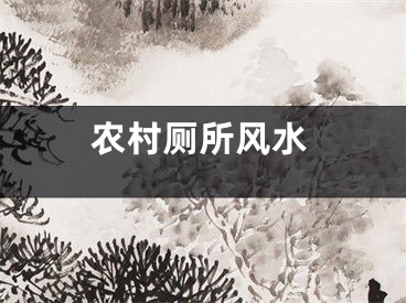 农村厕所风水
