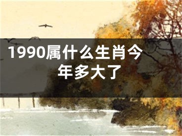 1990属什么生肖今年多大了