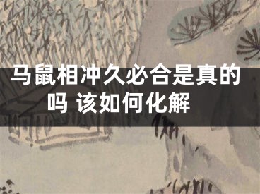 马鼠相冲久必合是真的吗 该如何化解